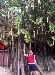 hong kong lantau island