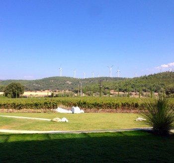 urla-sarapcilik-urla-wines-urla-turkey-izmir-turkiye-02-04