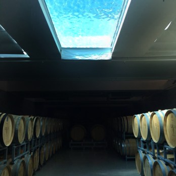 urla-sarapcilik-urla-wines-urla-turkey-izmir-turkiye-sarap-mahzeni