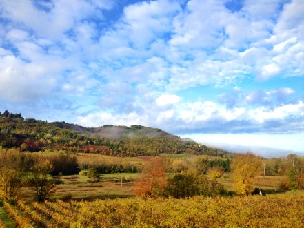 chianti-vineyards-toskana-tuscany-italya-2
