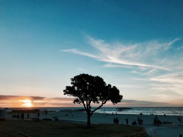 Camps Bay (Cape Town, Güney Afrika, South Africa)