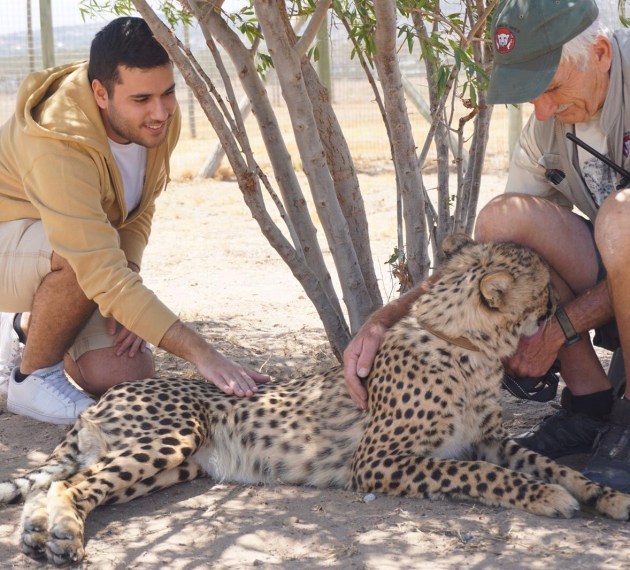Cheetah Outreach (Cape Town, Güney Afrika, South Africa)