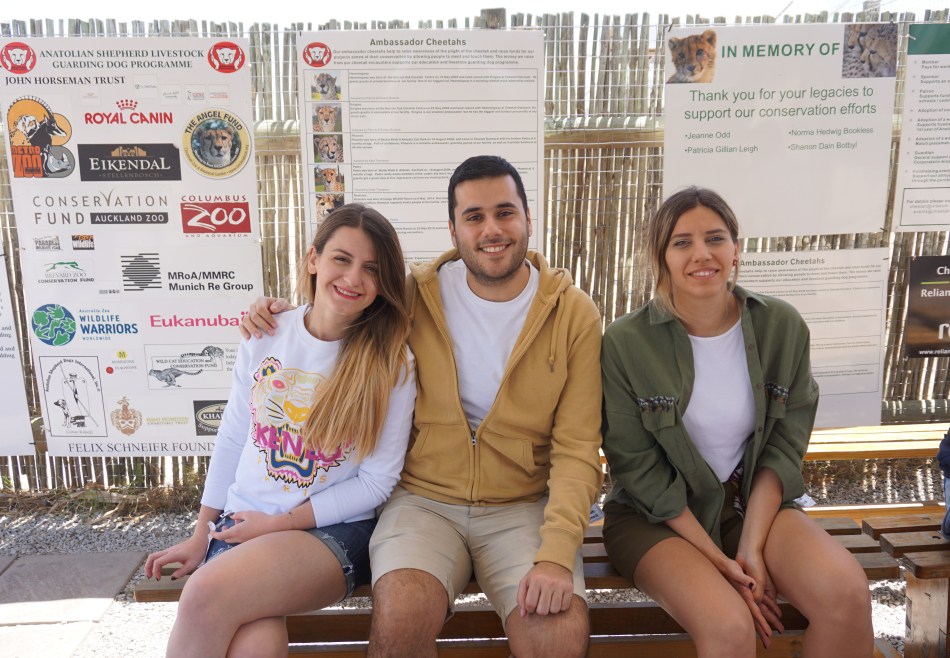 Cheetah Outreach (Cape Town, Güney Afrika, South Africa)