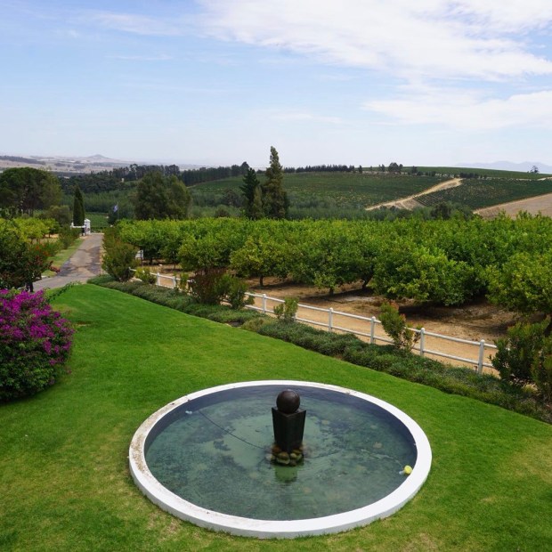 Marianne Wine Estate, Stellenbosch (Cape Town, Güney Afrika, South Africa) 3