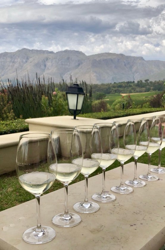 Wine Tasting at Ernie Els (Stellenbosch, Cape Town, Güney Afrika, South Africa)
