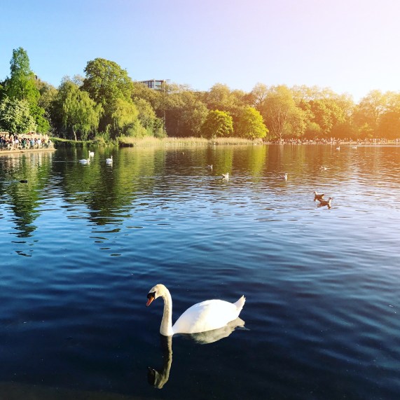 Hyde Park, Londra, İngiltere.JPG