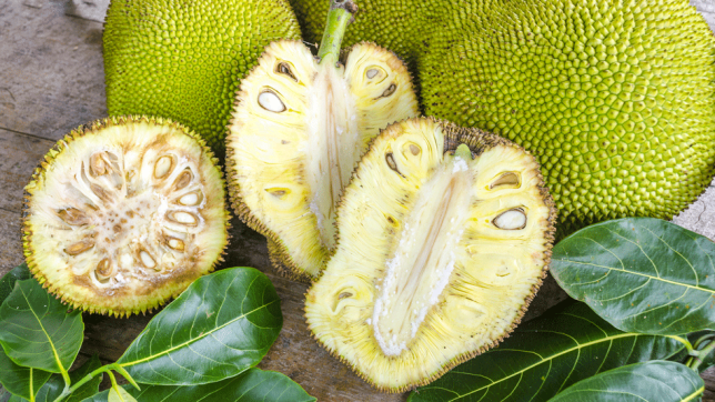 jack fruit, jak meyvesi