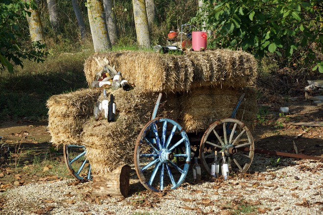 barel-baglari-tekirdag
